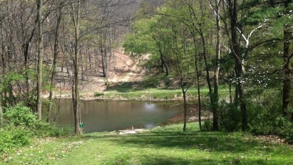 A serene pond surrounded by trees and grassy areas.