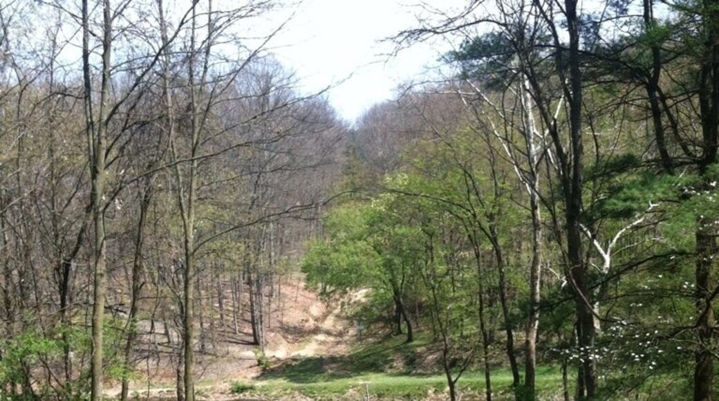 Deer Lakes Park Spring 2012, hole 15. #nature #discgolf #frolf #autumn