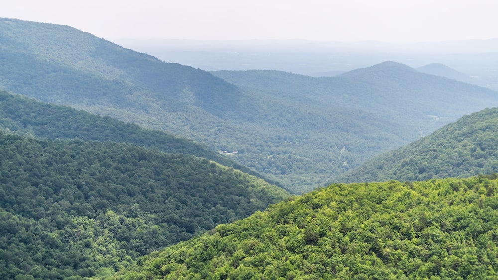 View of horizon in Appalachian Shenandoah Blue Ridge mountains on skyline drive overlook and rolling hills