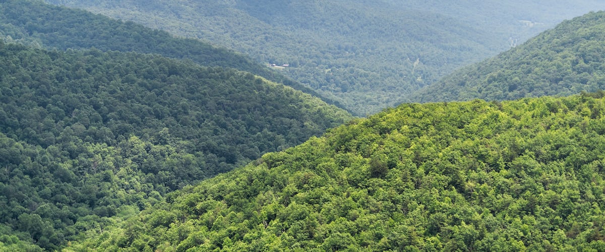 View of horizon in Appalachian Shenandoah Blue Ridge mountains on skyline drive overlook and rolling hills