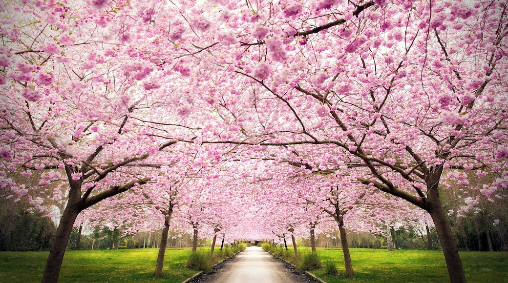 500px Photo ID: 66342731 - Spring in Copenhagen, My home. follow my facebook page for news and contests. www.facebook.com/fessel © www.thorbjornfessel.dk