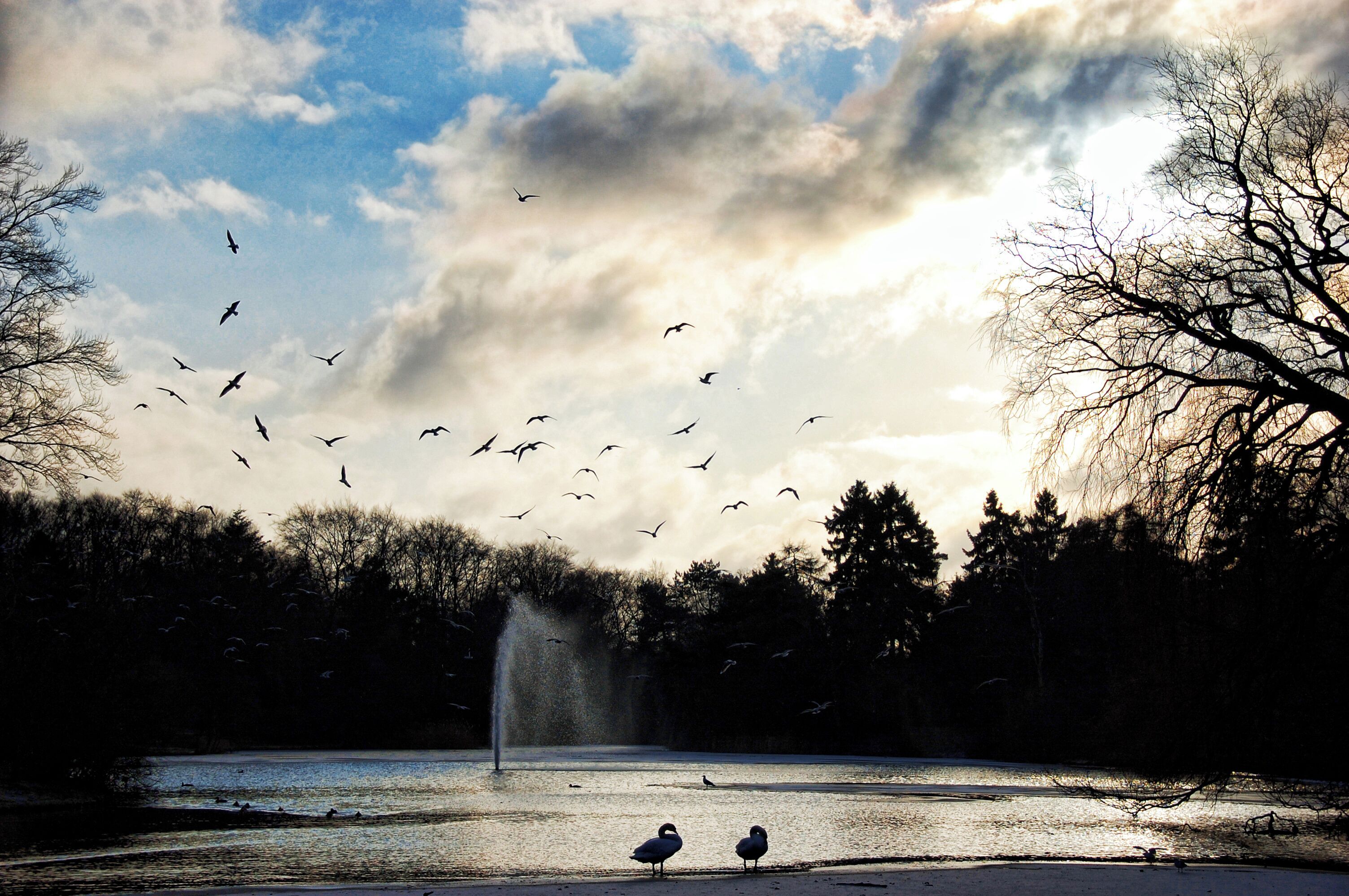 F√¶lledparken in Copenhagen, Denmark.