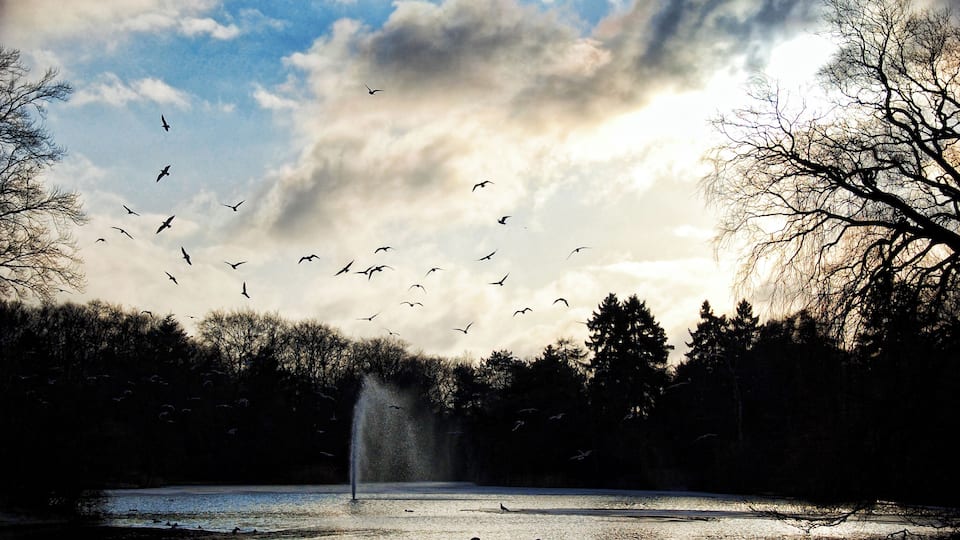 F√¶lledparken in Copenhagen, Denmark.