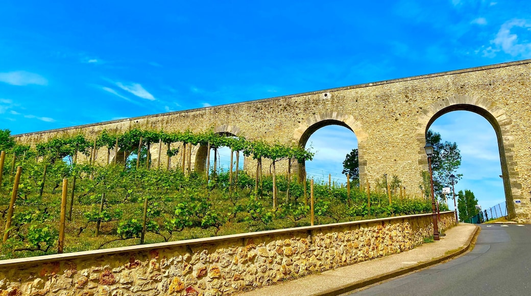 roman aqueduct in Louveciennes near Paris