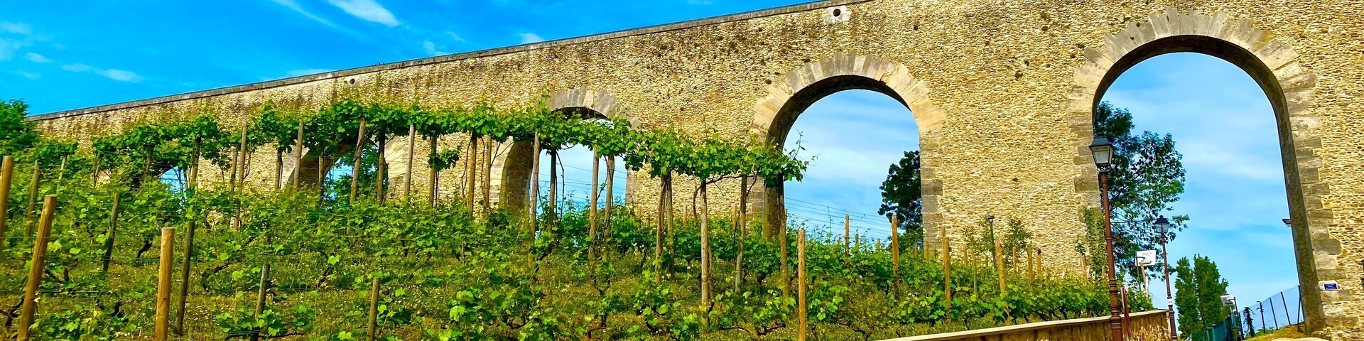 Un puente de piedra con arcos, un muro de piedra y un viñedo.