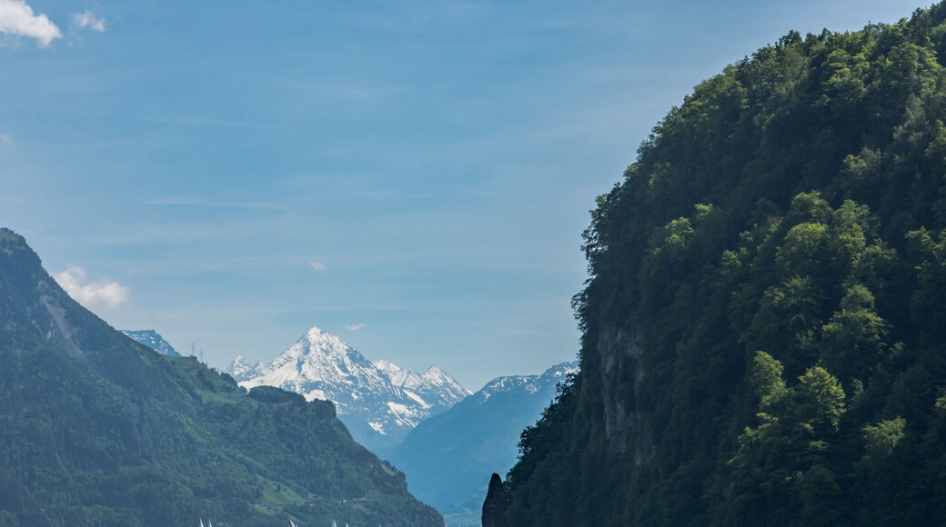 Nas in Ennetbuergen and Vitznau narrow passage channel on lake lucerne