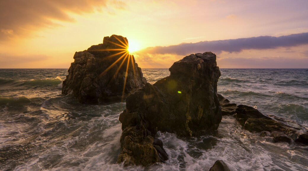 ザ セトルメント