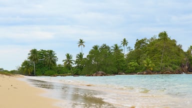 untouched beach with coco palms on sandy beach and blue sea. Summer vacation and tropical in west sumatra indonesia