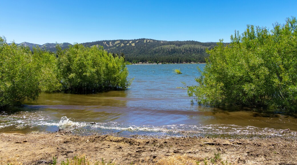 Big Bear Lake with green bush in the water and mountains in the background