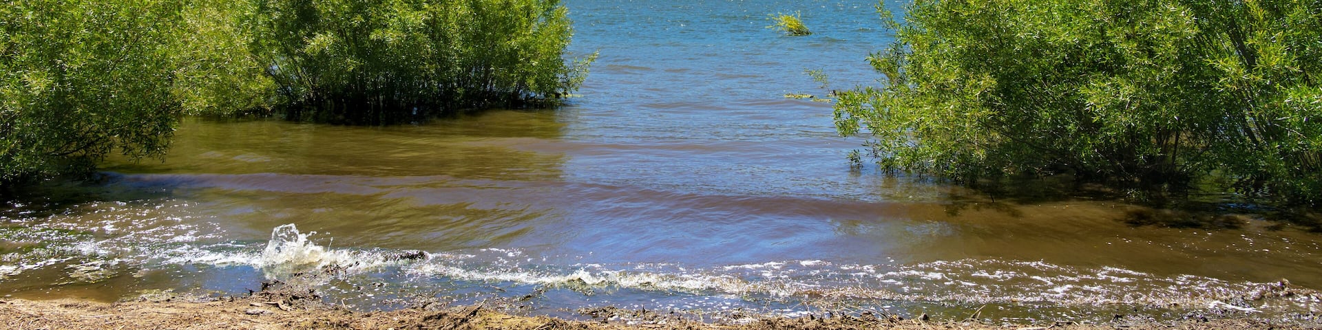 Big Bear Lake with green bush in the water and mountains in the background