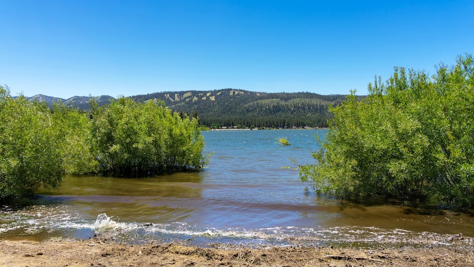 Big Bear Lake with green bush in the water and mountains in the background