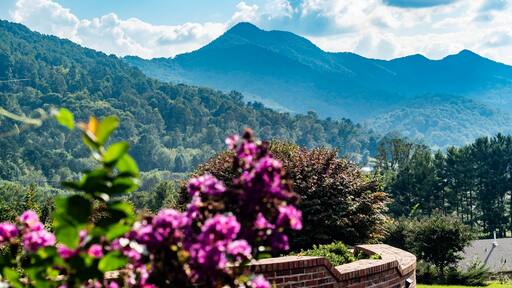 A beautiful place to stay in the Blue Ridge Mountains of North Carolina
#MyBackyard
#leicester
#northcarolina
#blueridgemountains
#homesweethome