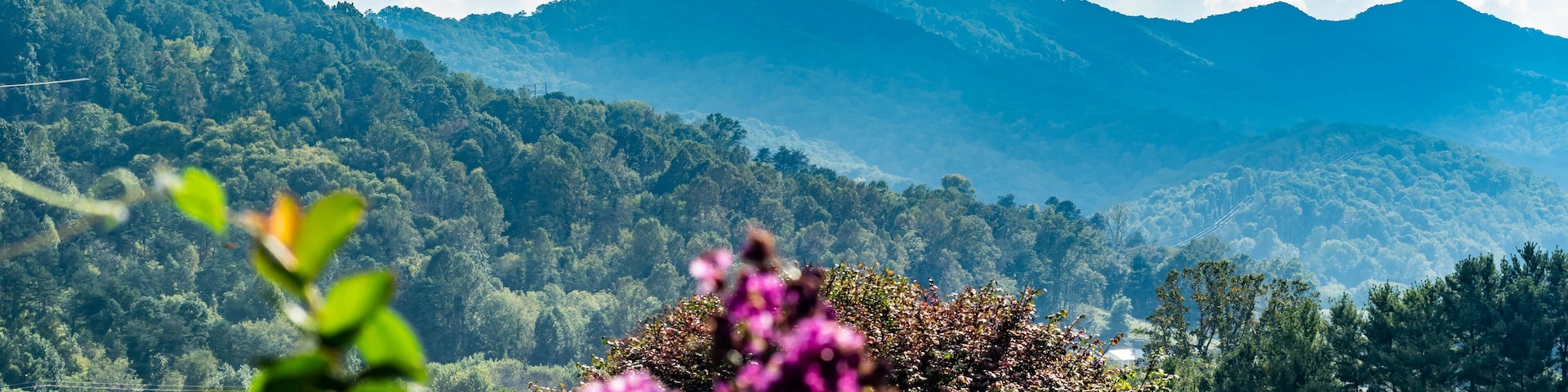 A beautiful place to stay in the Blue Ridge Mountains of North Carolina
#MyBackyard
#leicester
#northcarolina
#blueridgemountains
#homesweethome