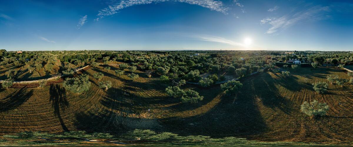 Terraced olive groves, a river, and a distant village under a clear sky.