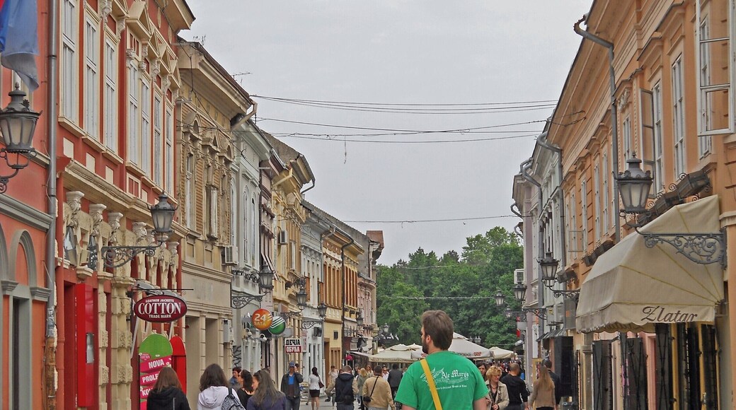 Colorful houses of Novi Sad, Serbia http://www.cityoftheweek.net/2016/04/09/the-3-cities-of-serbia-everyone-should-visit/