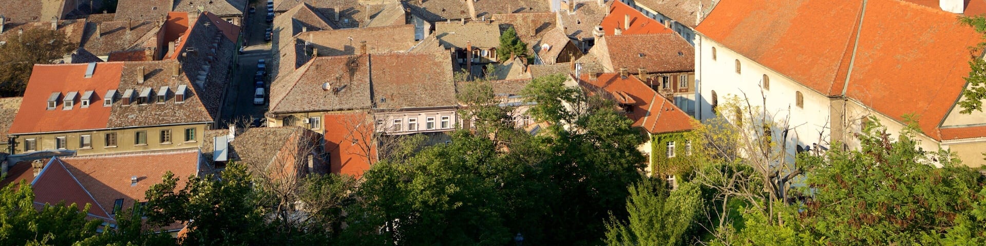 Novi Sad showing a city and a house