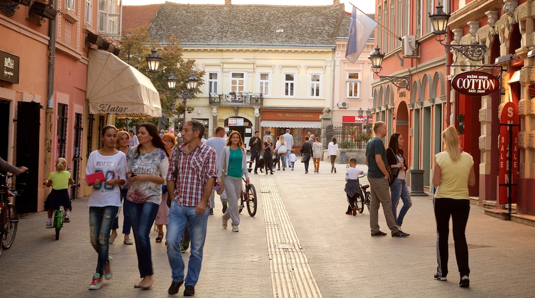 Novi Sad which includes street scenes, heritage architecture and a sunset