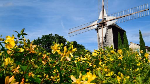 Moulin de Sannois durant l'été avec des fleurs jaunes