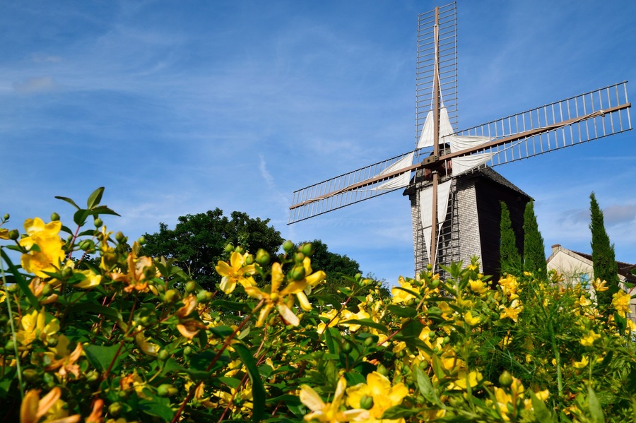 Moulin de Sannois durant l'été avec des fleurs jaunes