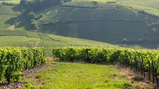 Saint-Martin-sur-le-Pré