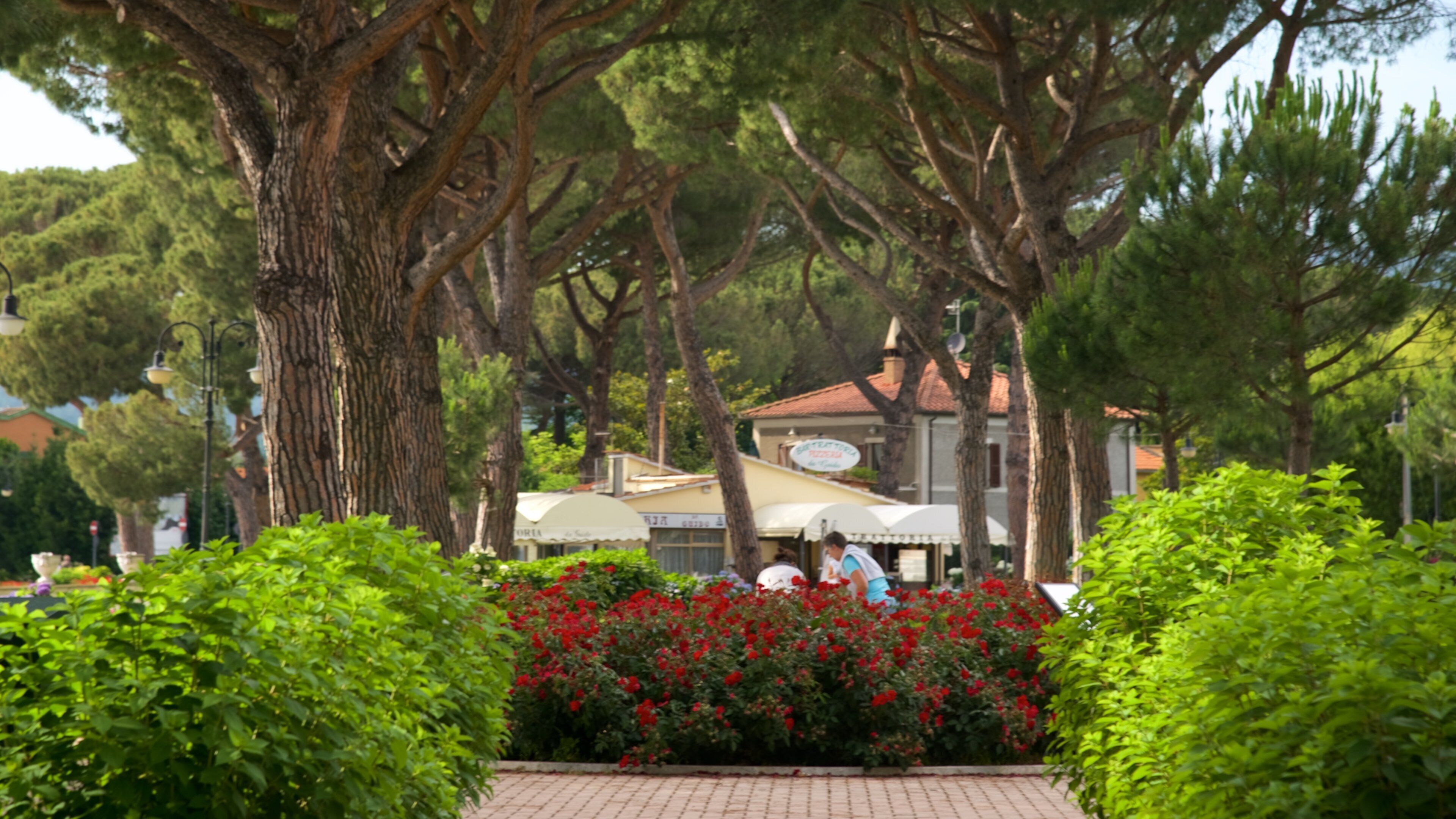 Lake Bolsena which includes a park