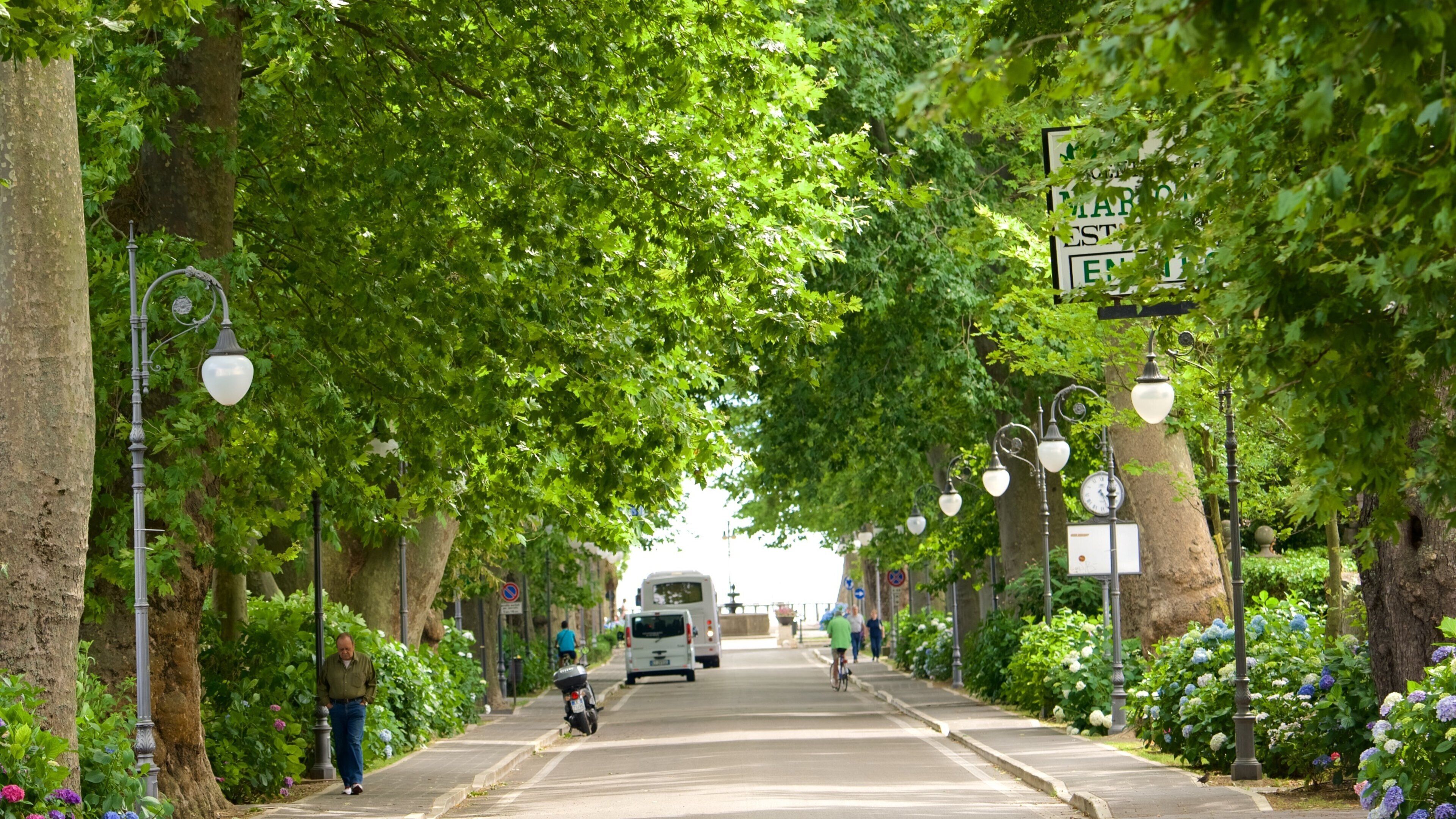 Lake Bolsena which includes a garden