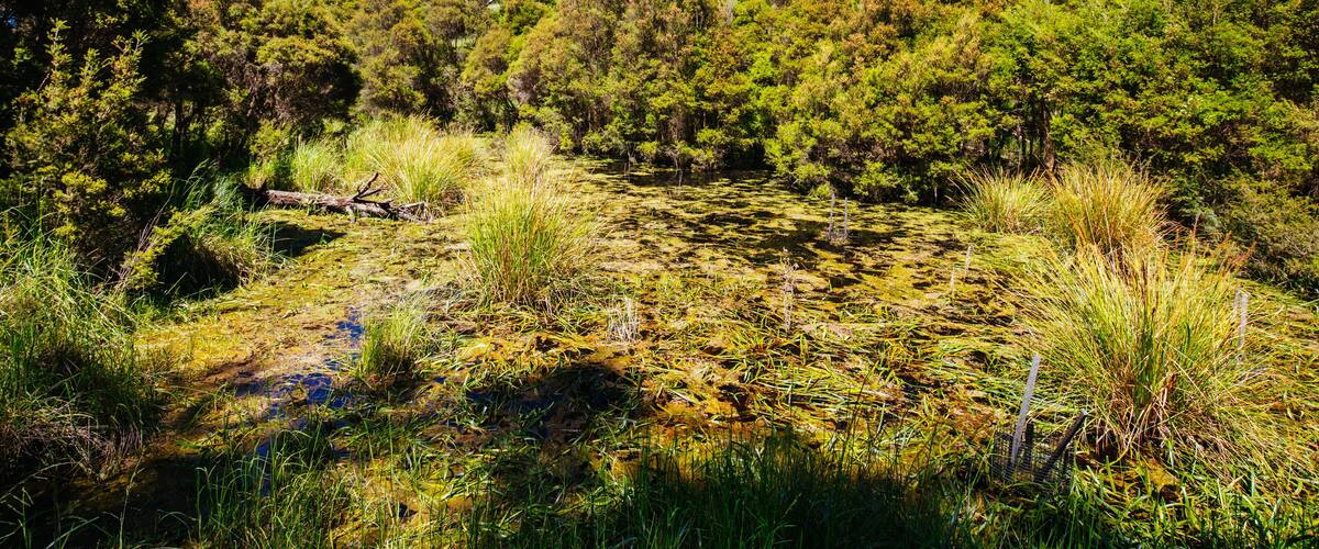 Mount Lofty Circuit Walk in Melbourne Australia