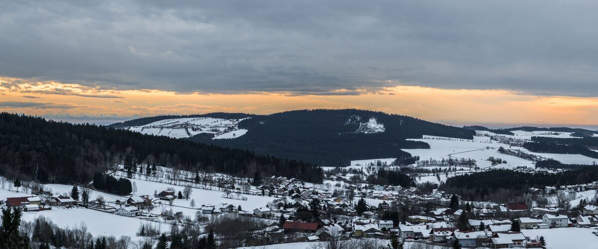 A snow-covered village with houses and a mountain in the background.
