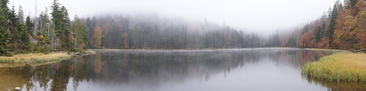 Rachel Lake inside the Nationalpark Bavarian Forest