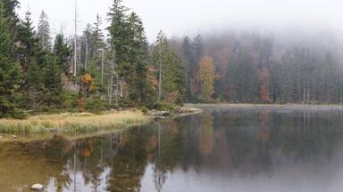 Spiegelau