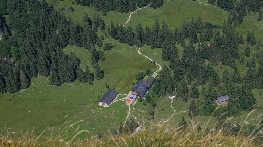 Blick vom Gipfel der Benediktenwand auf die Tutzinger Hütte.