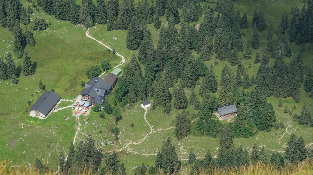 Blick vom Gipfel der Benediktenwand auf die Tutzinger Hütte.