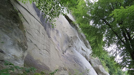 78476 Allensbach, Germany