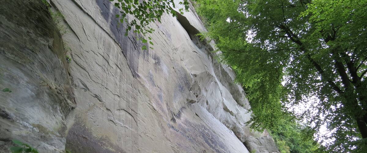 A large rock face with patches of greenery and moss.