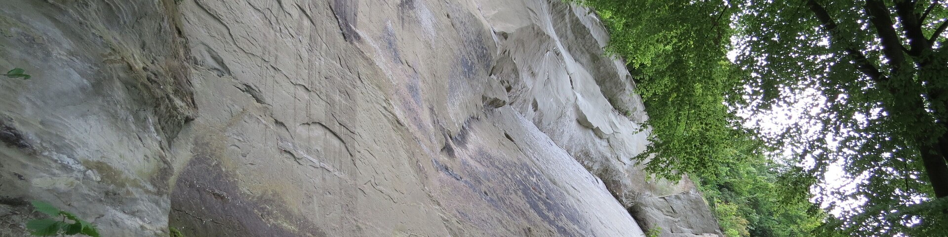 A large rock face with patches of greenery and moss.
