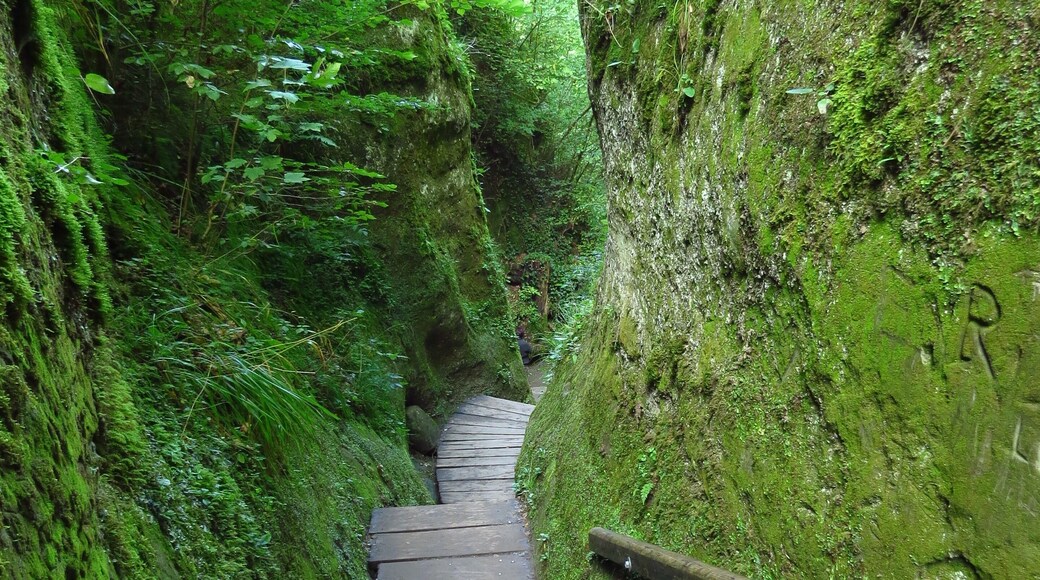 78476 Allensbach, Germany