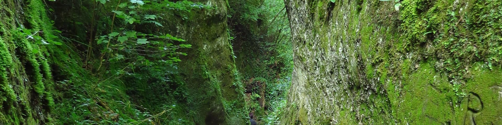 78476 Allensbach, Germany