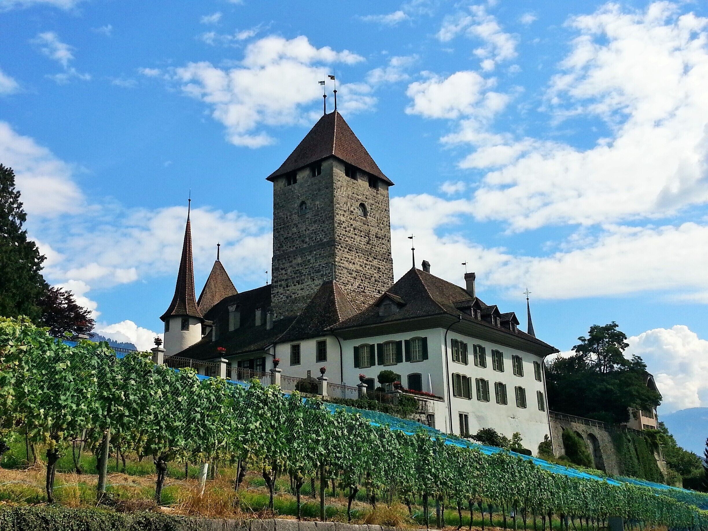 Few would know that Spiez has an age old Castle built in 933 AD by King Burgundy. Perched on a hill and surrounded by Vineyards, this low profile Castle has housed many high profile personalities which have gone down in the pages of history.

excerpts from https://theredbagandpurpleshoes.wordpress.com/2014/09/24/the-crowning-jewels-of-lake-thun-switzerland/
