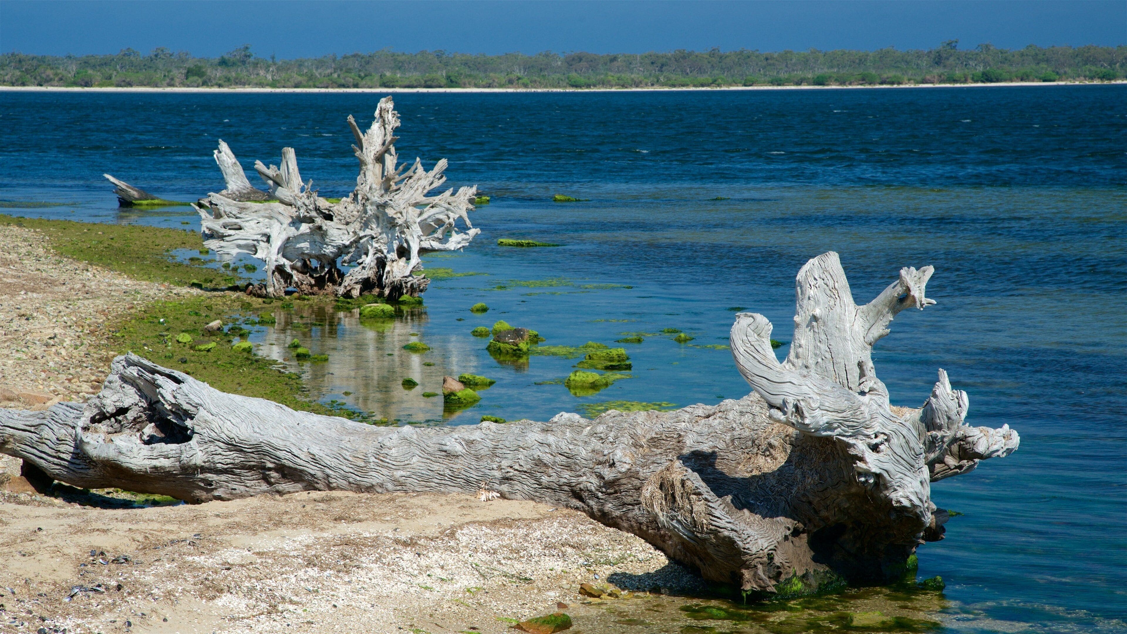 Gippsland inclusief algemene kustgezichten