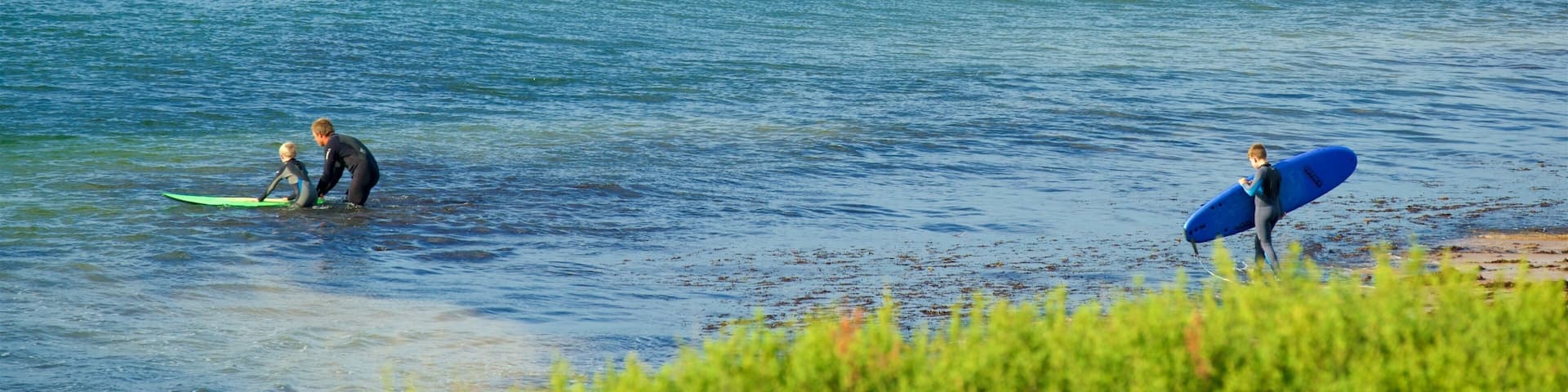 Phillip Island which includes surfing as well as a small group of people