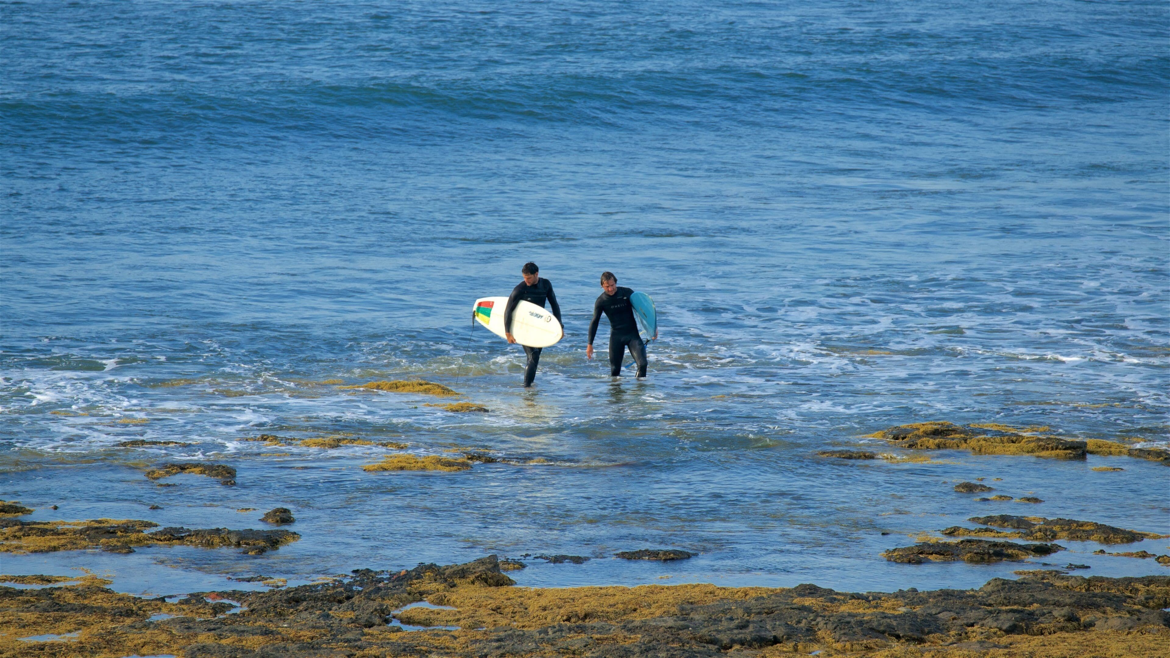 Two surfers walking in shallow water with surfboards.