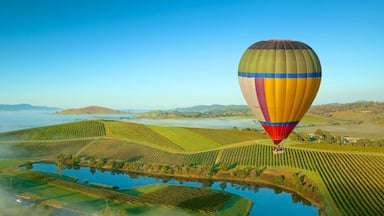 Un globo aerostático sobre un viñedo con un lago y colinas ondulantes al fondo.