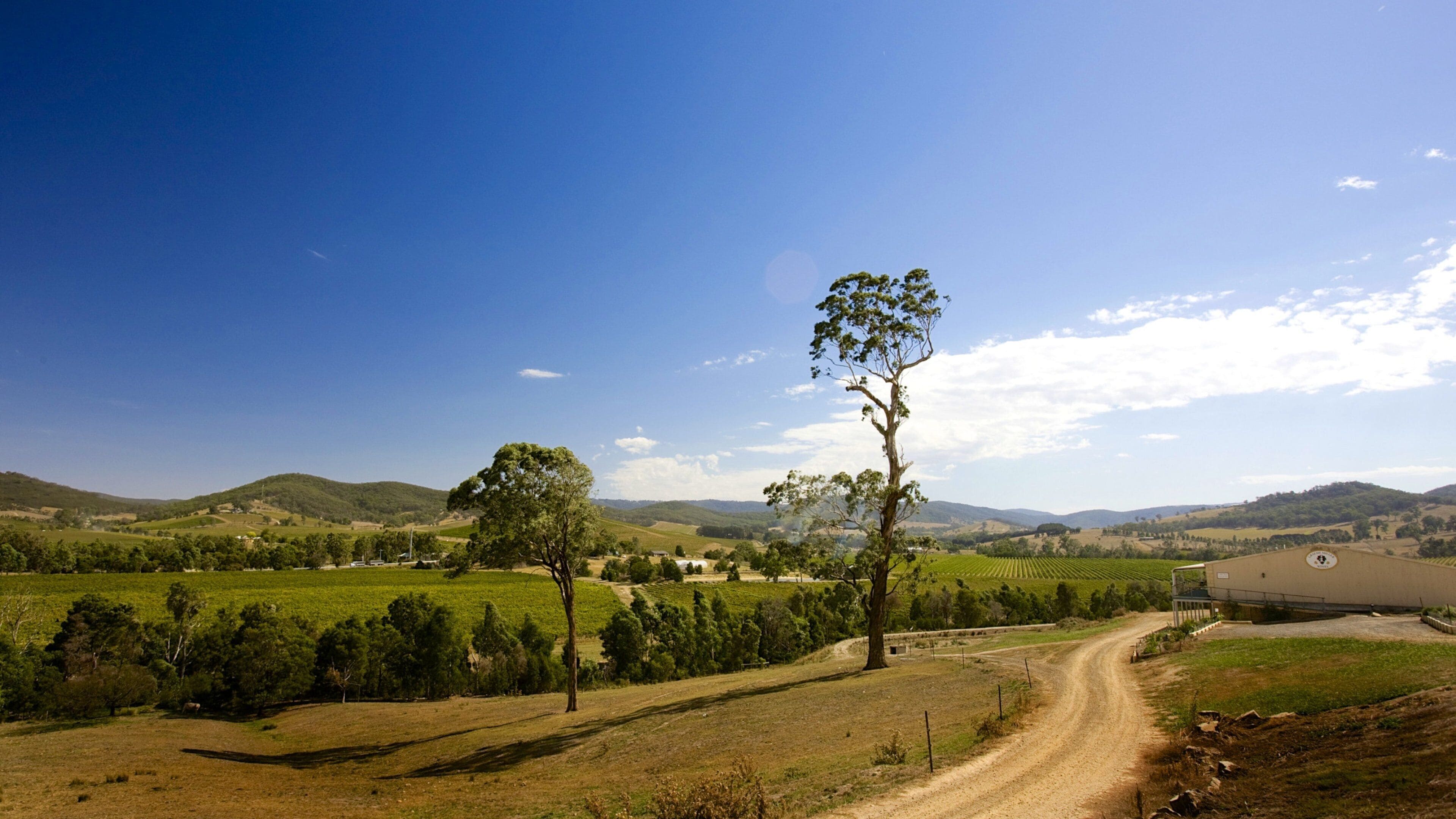 A rural landscape with rolling hills, a dirt road, and scattered trees.