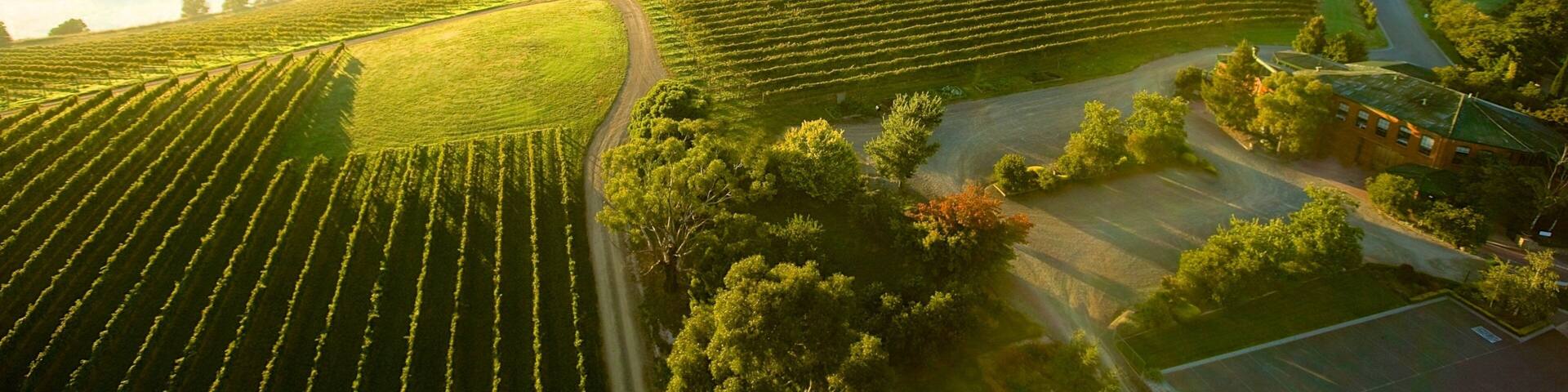 Yarra Valley featuring ballooning, landscape views and farmland