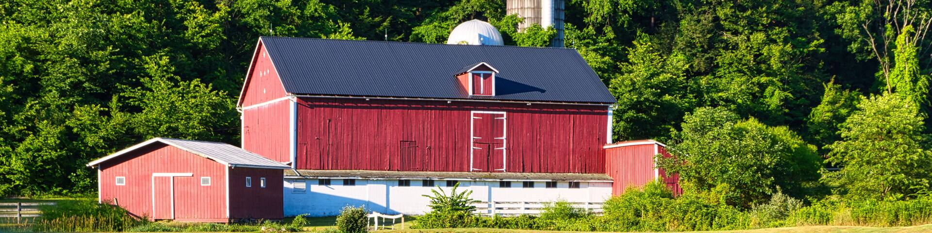 Red Barn Pennsylvania Agriculture