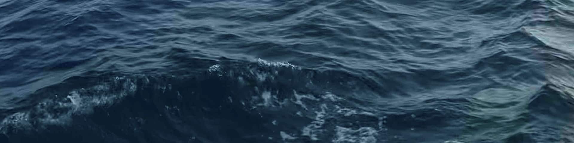 Be free!!! Huatulco, Mexico