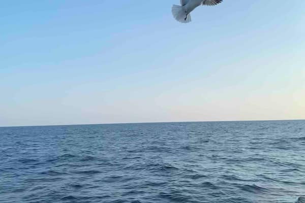 Be free!!! Huatulco, Mexico