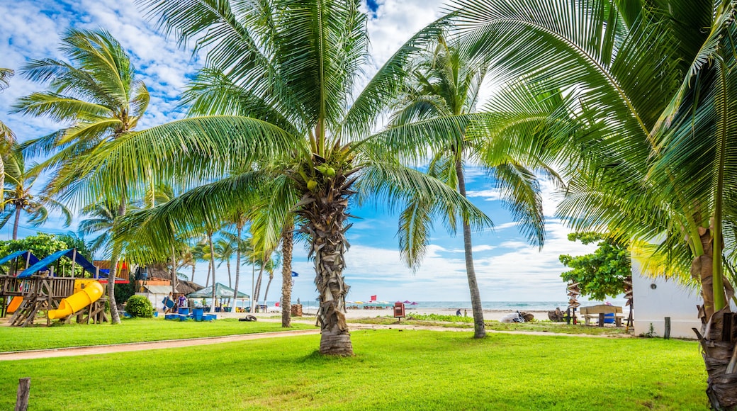 playa mexico