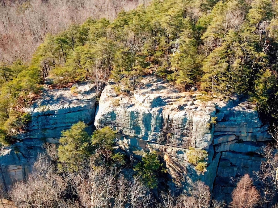 A rocky cliff with dense forest vegetation.