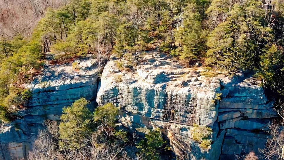 A rocky cliff with dense forest vegetation.
